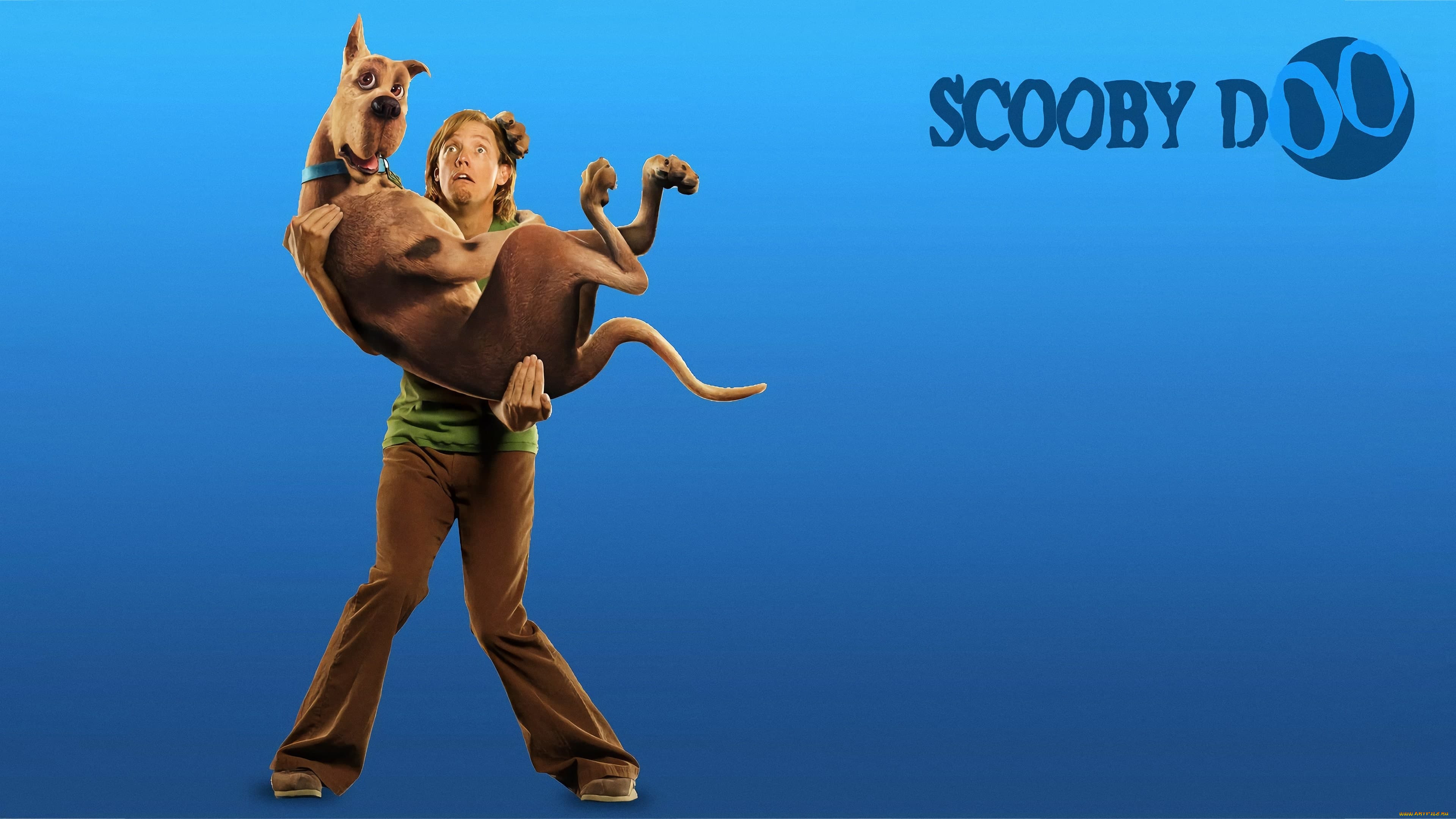  , scooby-doo, , 